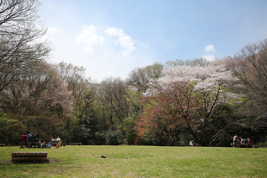 ほっこり広場