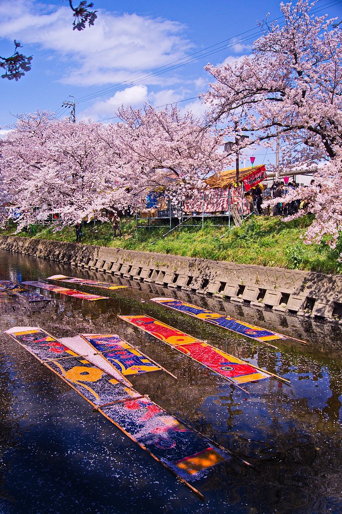 【心】のんぼり