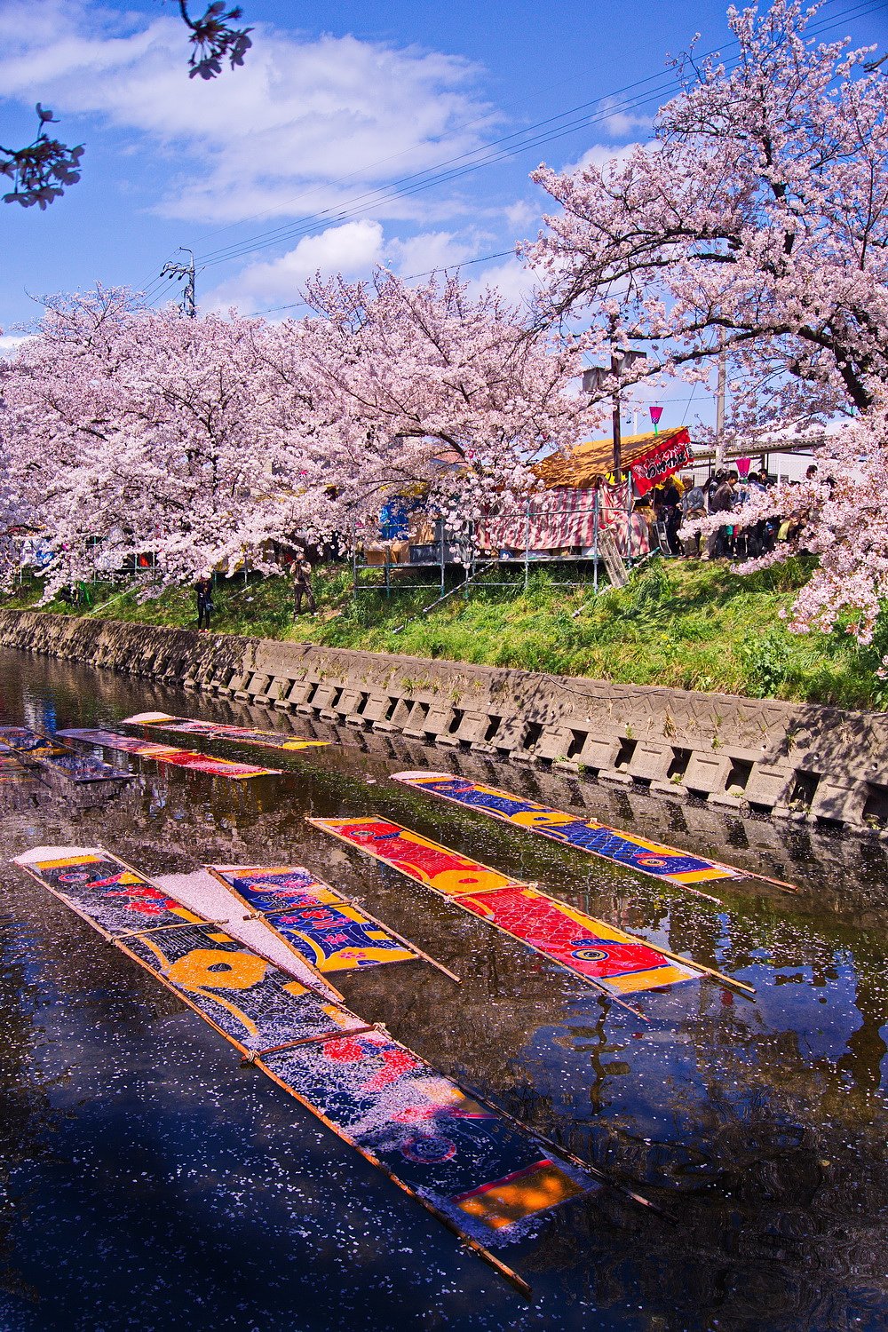 【心】のんぼり