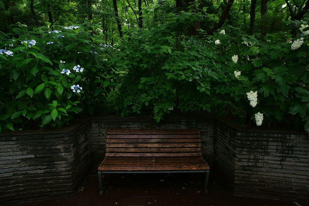 Distagon 21mm F2.8 ZF