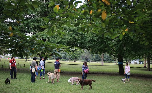 公園デビュー