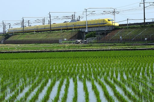 今日のドクターイエロー