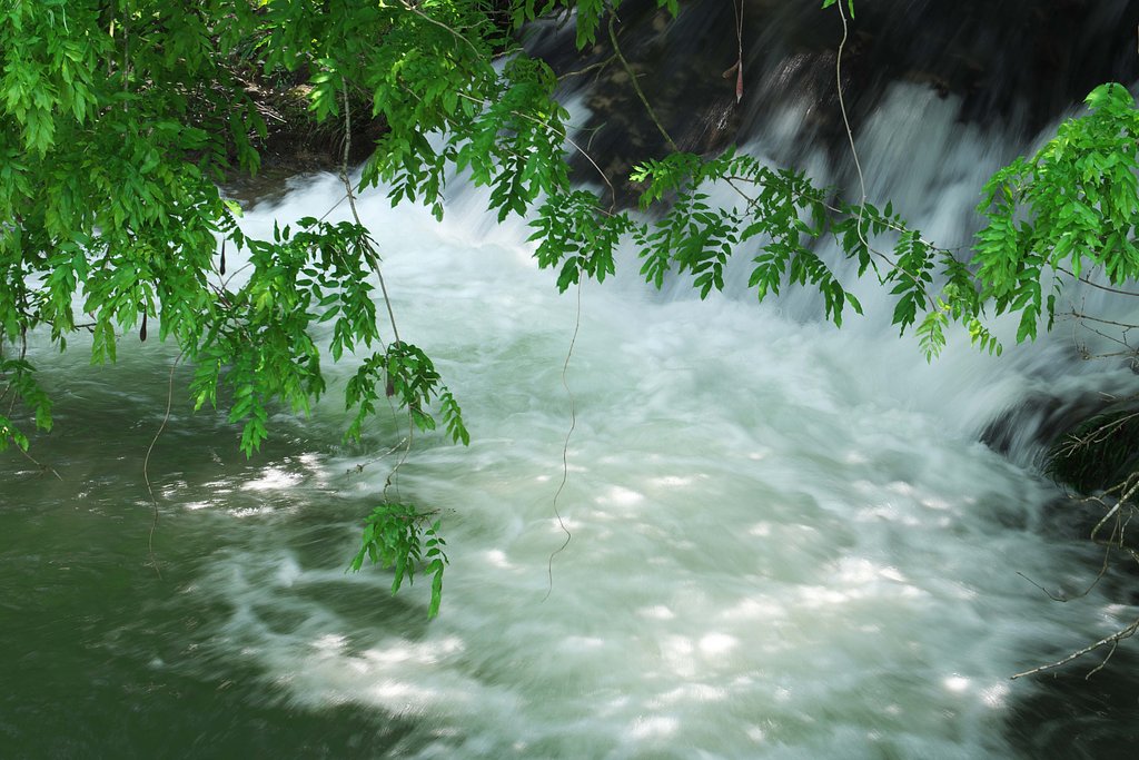 水面