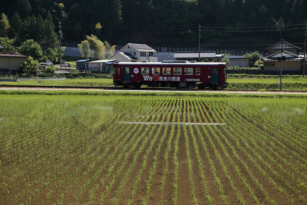 田園を行く長良川鉄道