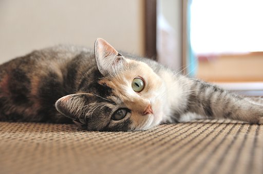 ん？