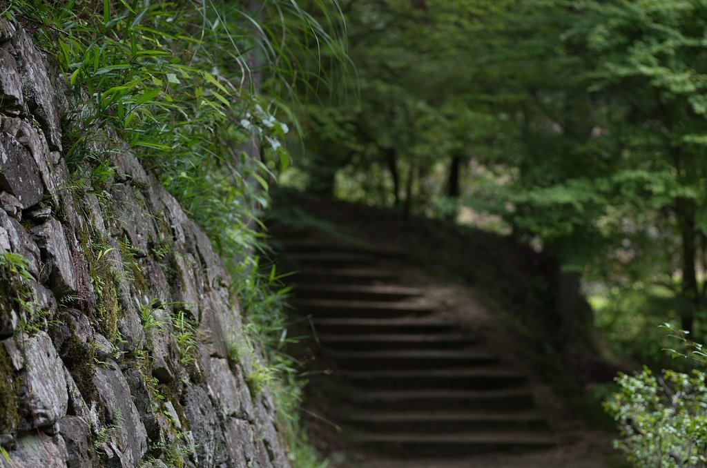 林道