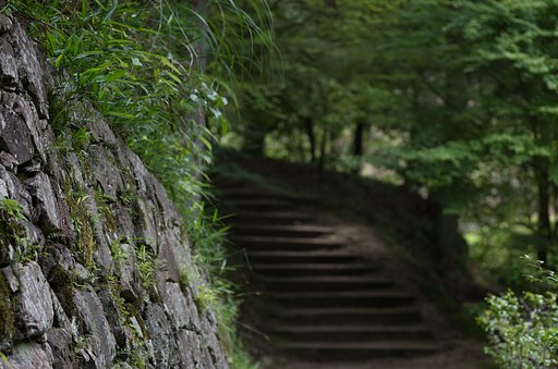 林道