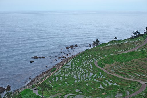 奥能登⑭