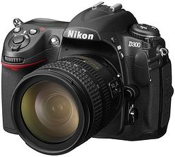 D300