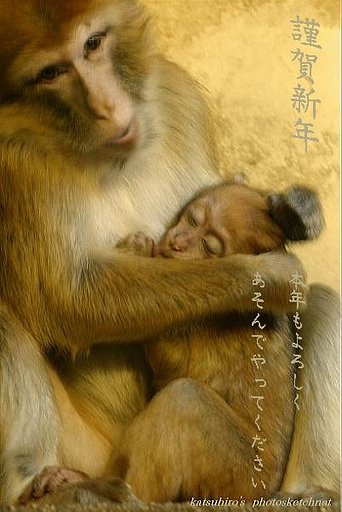 謹賀新年