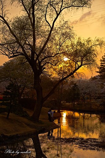 庭園の夕暮れ