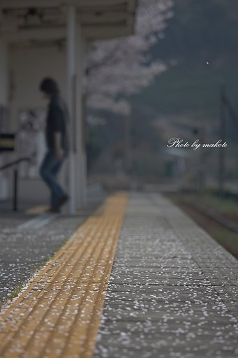 桜散るホームに・・・