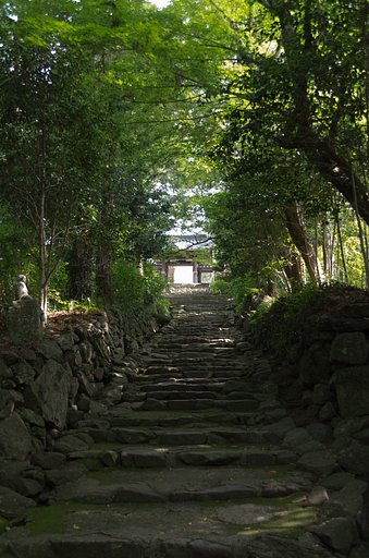 【影】　山門