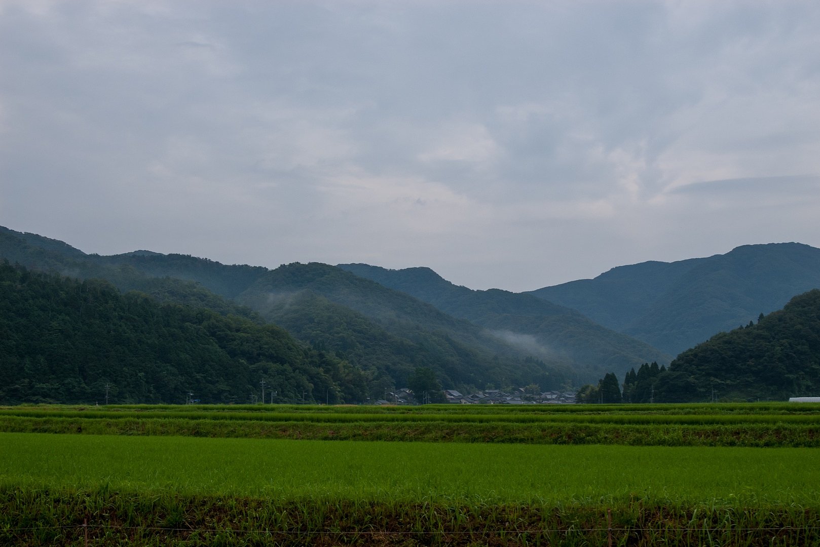 雨がばらばらしている朝。