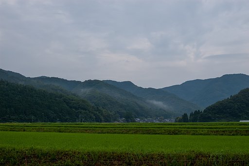 雨がばらばらしている朝。