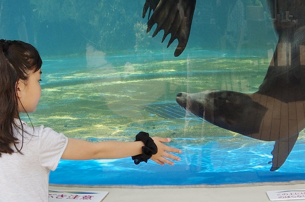 【水のある星】あなたに夢中