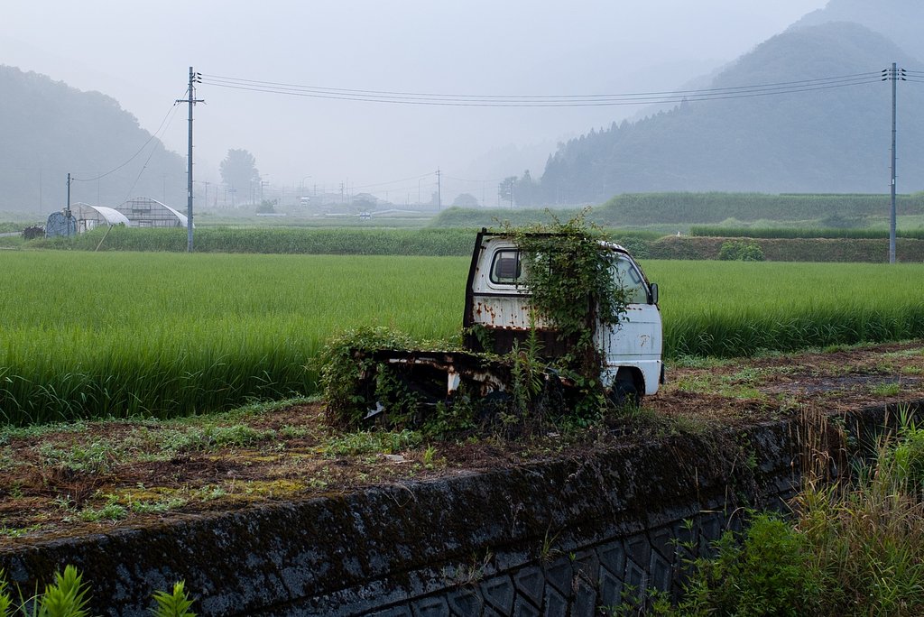 前衛生け花・・。