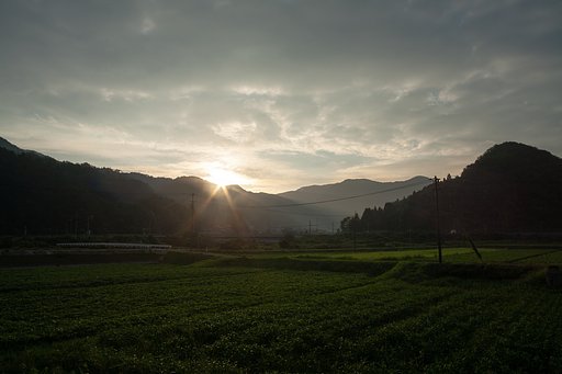 美しい朝日の出・・。