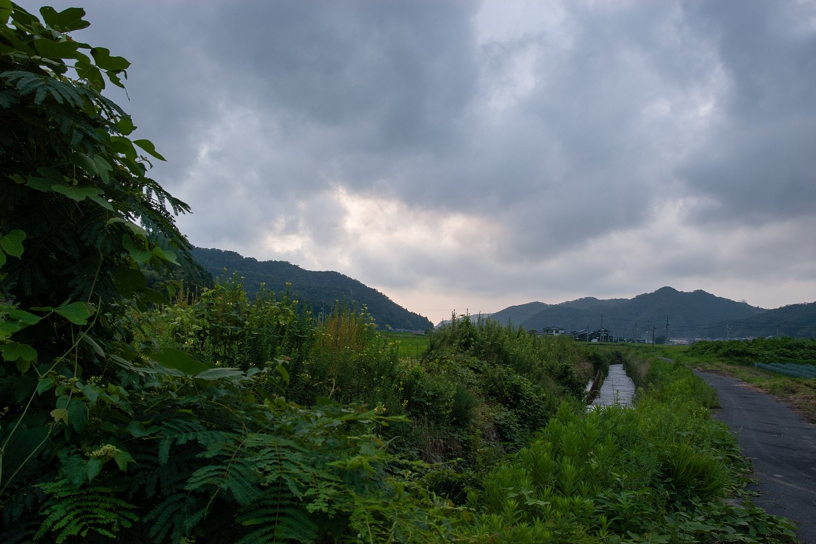 夕方まで曇り空・・。