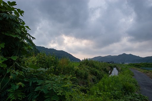 夕方まで曇り空・・。