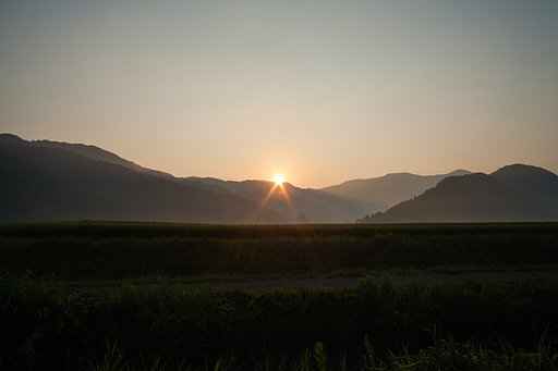 モヤットした朝日の出。