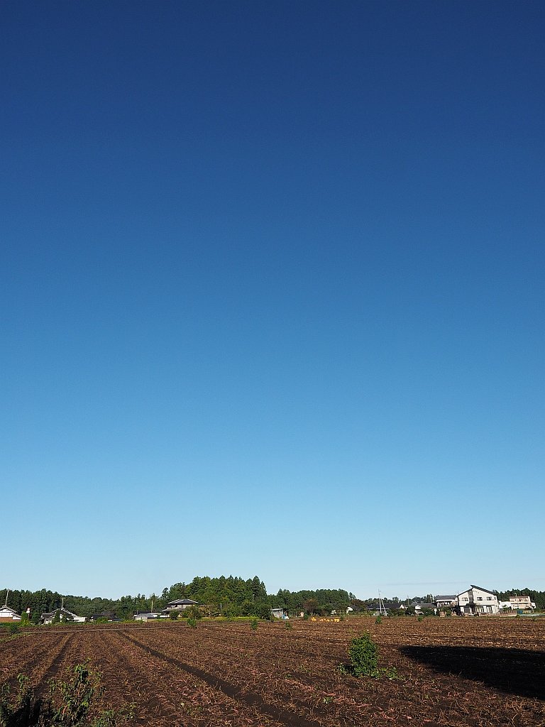 秋空