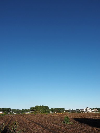 秋空