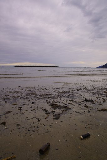 縦で海