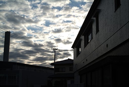 S3Pro：S画素だけの画像