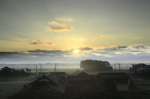 フォトジェニックな朝