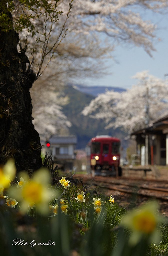 春盛りのローカル線駅