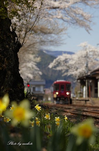 春盛りのローカル線駅