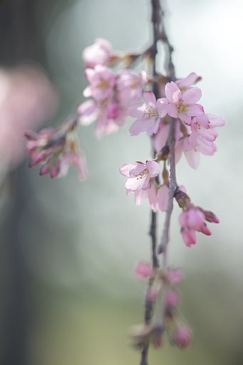 久しぶりに