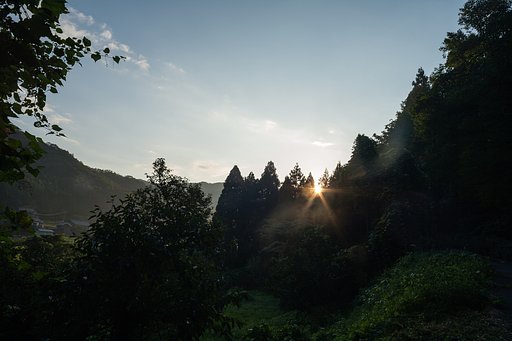 村の奥からの朝日。