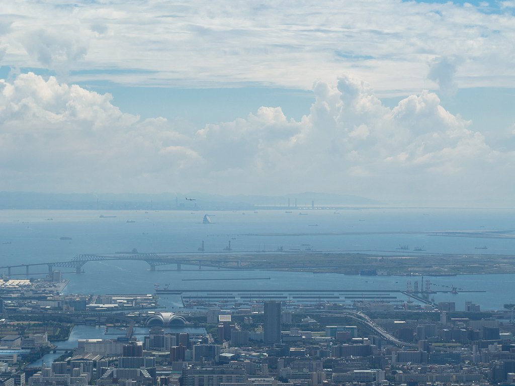 TOKYO BAY～鳥になりたい～