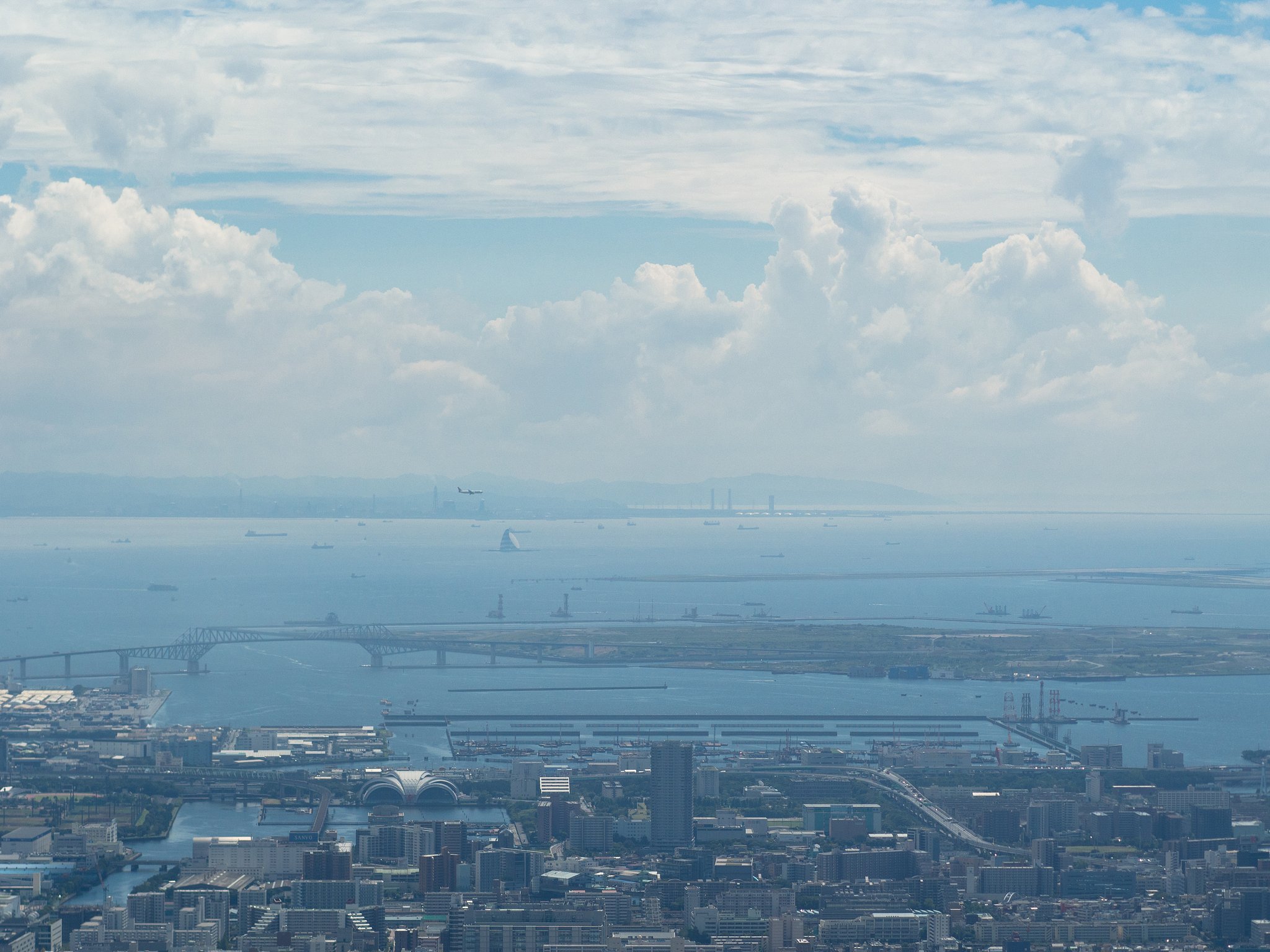 TOKYO BAY～鳥になりたい～