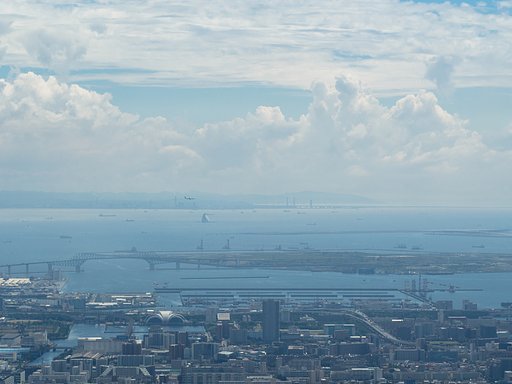 TOKYO BAY～鳥になりたい～
