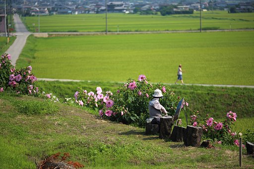 さよなら夏の日