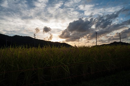 夕焼けも・・。