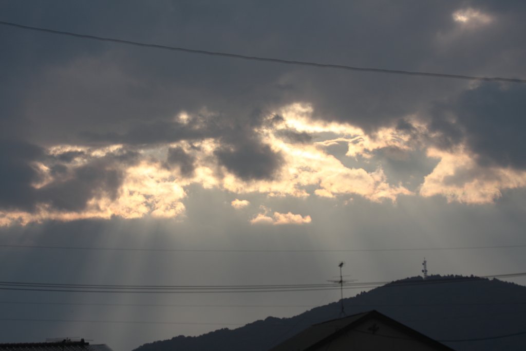 夕方にはまだ早いですが。