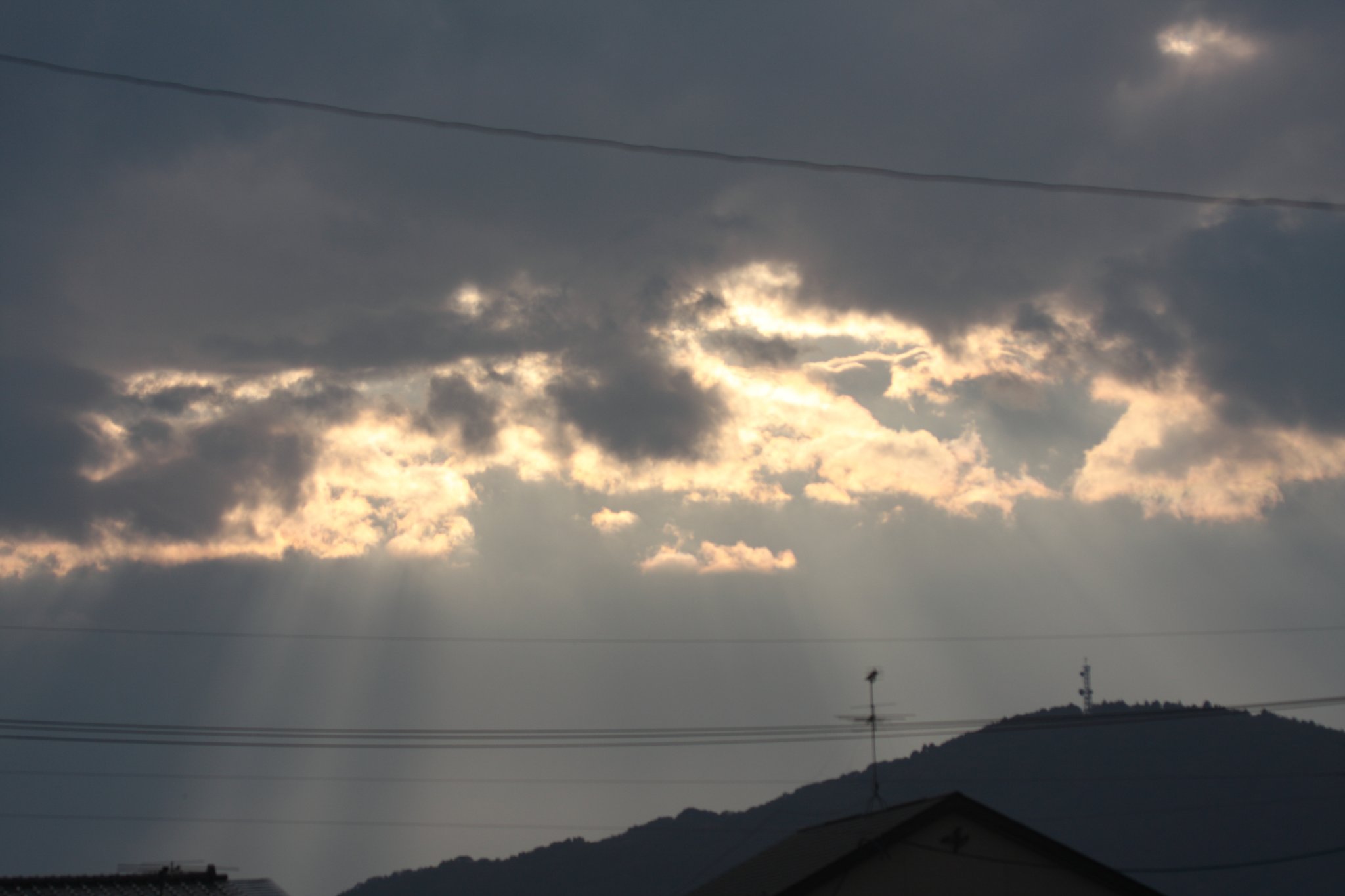 夕方にはまだ早いですが。