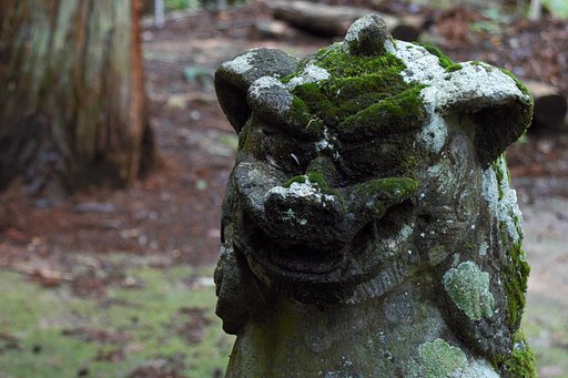 怒ってる