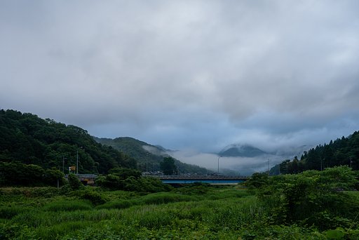 今朝も梅雨空・・。