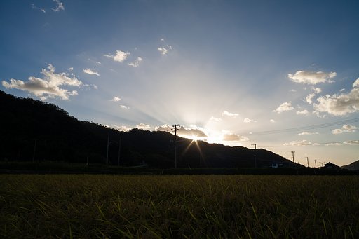 夕方は美しい夕焼けに・・。