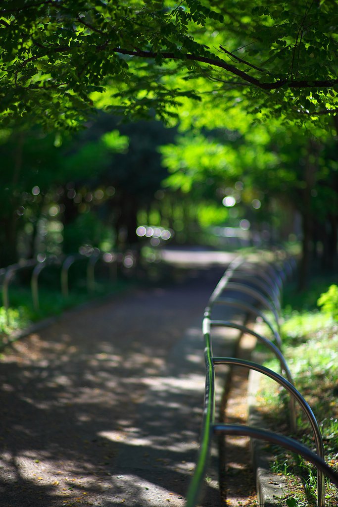 夏の終わりの散歩道