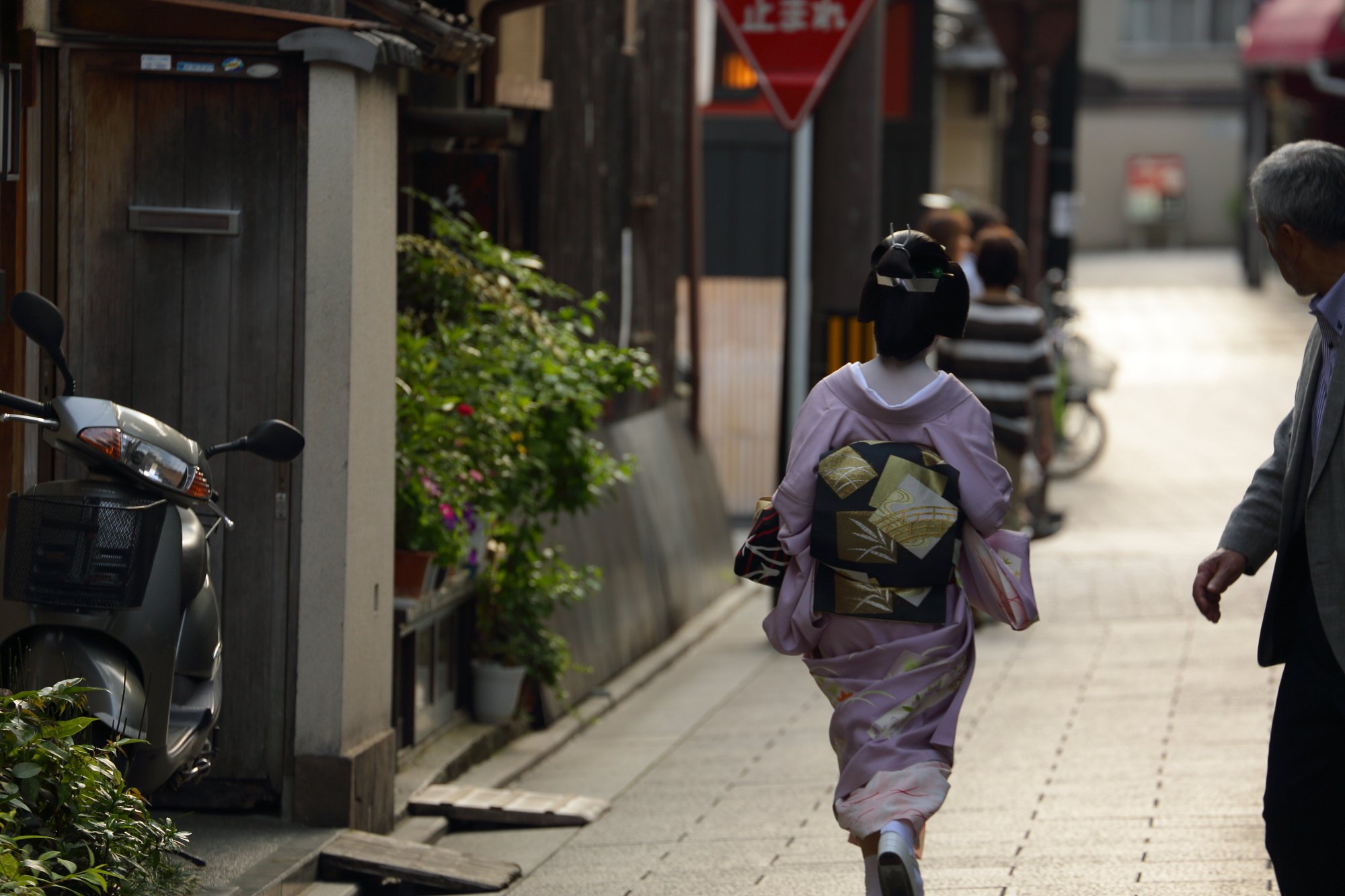 舞子はん、走りはる