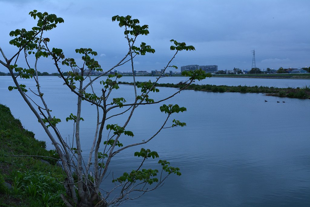 小雨降る朝