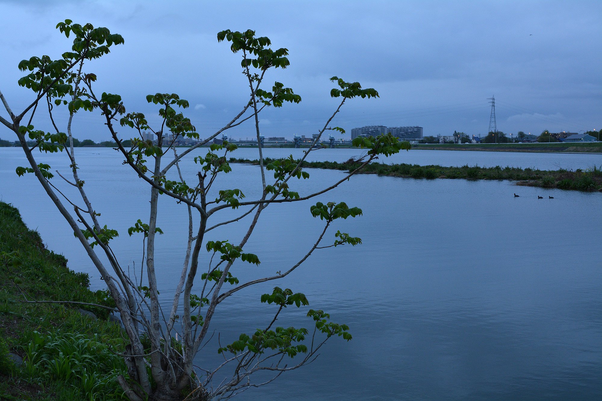 小雨降る朝