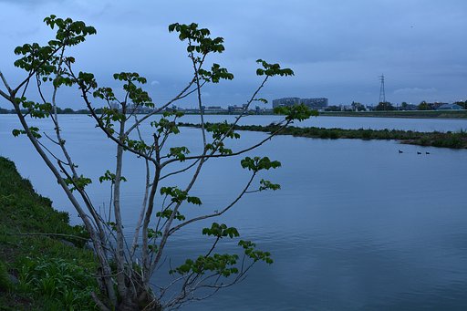 小雨降る朝