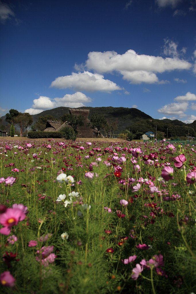 東有年古墳公園
